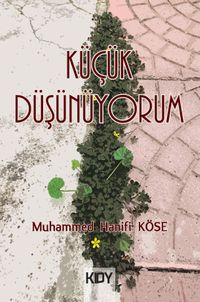 Küçük Düşünüyorum 