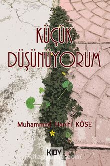Küçük Düşünüyorum - Muhammed Hanifi Köse