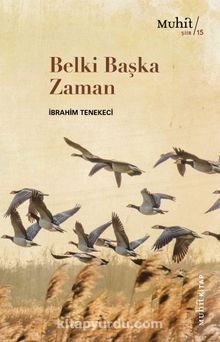 Belki Başka Zaman - İbrahim Tenekeci