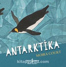 Antarktika - Moira Court