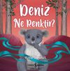 Deniz Ne Renktir?