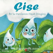 Çise: Bir Su Damlasının Hayat Hikayesi - Gürcan Demirel