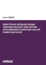 Enerji Piyasası Düzenleme Kurumu Tarafından Regülatif İdari Yaptırım Uygulanmasında İzlenen İdari Usullere Egemen Olan İlkeler