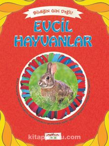 Evcil Hayvanlar / Bildiğin Gibi Değil - Asena Meriç