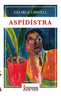 Aspidistra