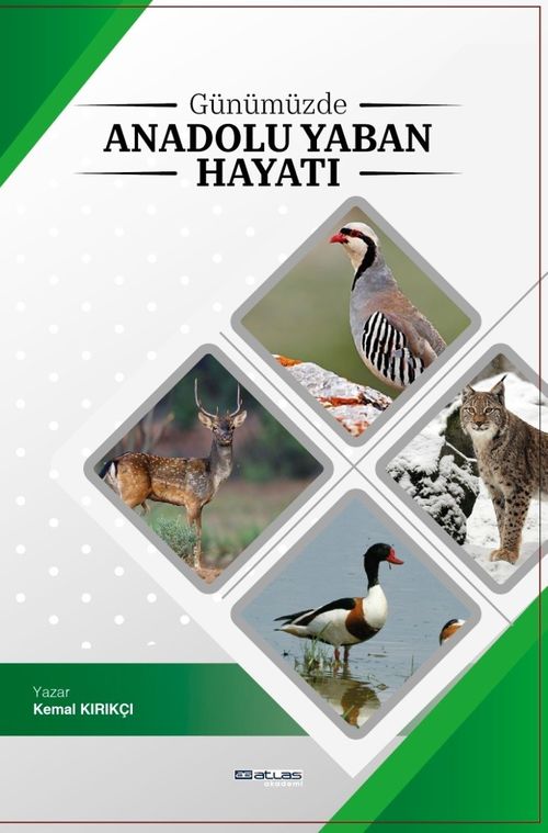 Günümüzde  Anadoluda Yaban Hayatı