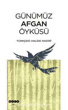 Günümüz Afgan Öyküsü - Bilinmeyen Yazar