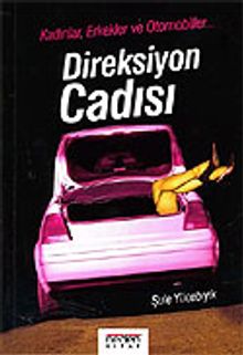 Direksiyon Cadısı