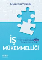 İş Mükemmelliği & İş Mükemmelliği ve Satış Gücü Etkinliği Üzerine Türkiye'de Yazılmış İlk Kitap