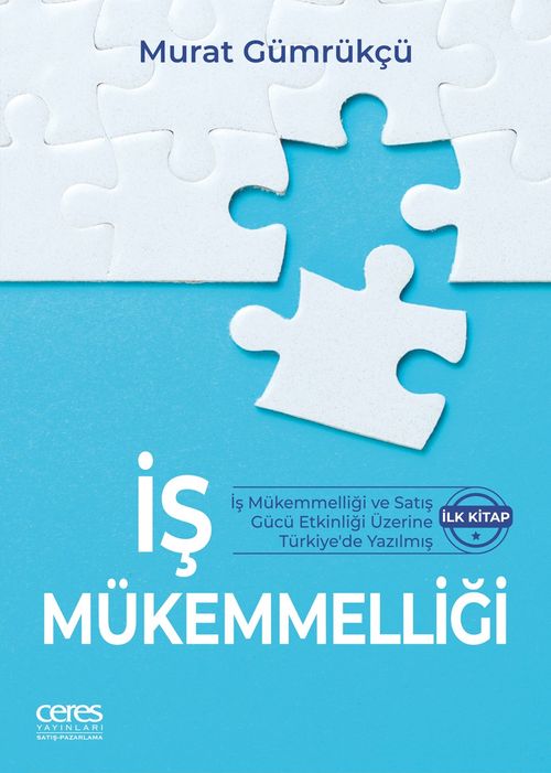 İş Mükemmelliği & İş Mükemmelliği ve Satış Gücü Etkinliği Üzerine Türkiye'de Yazılmış İlk Kitap