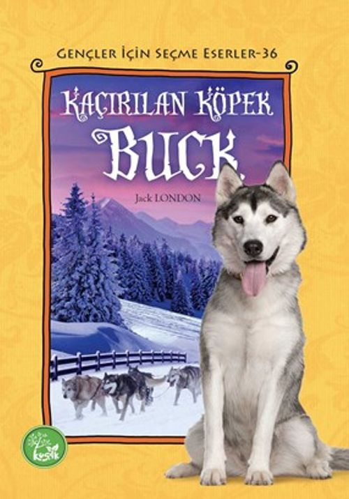 Kaçırılan Köpek Buck / Gençler İçin Seçme Eserler 36 (Jack London
