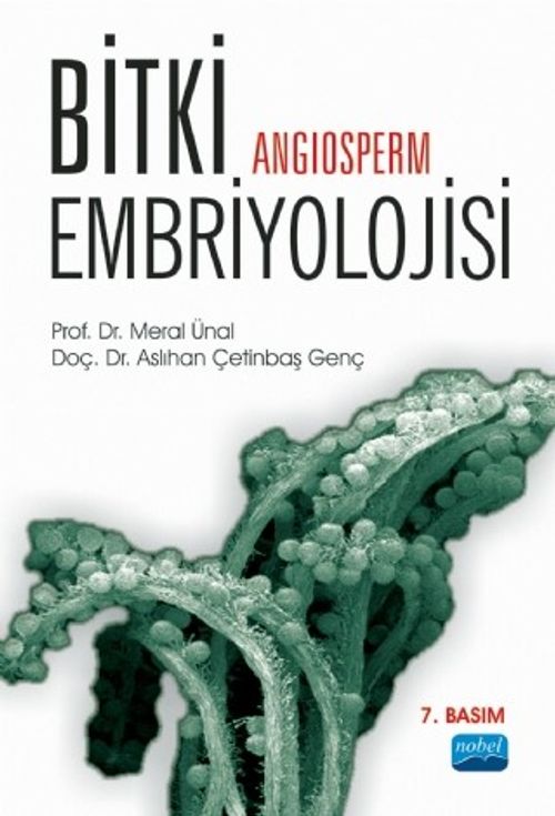 Bitki Embriyolojisi (Angiosperm)