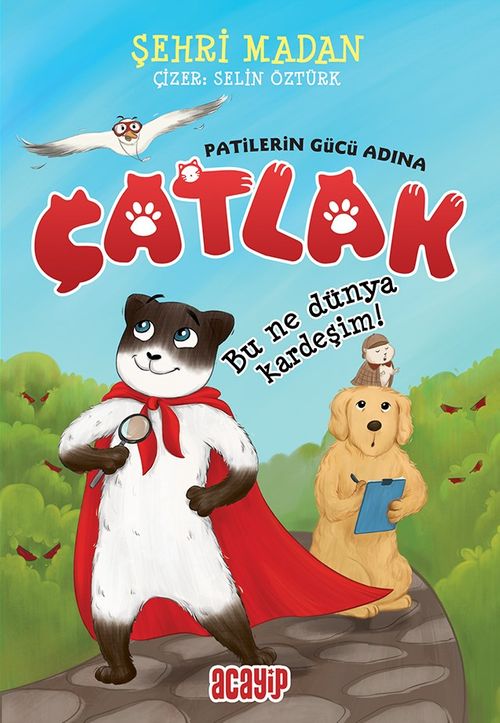 Çatlak / Bu Ne Dünya Kardeşim