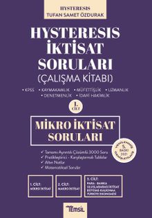 Hysteresis İktisat Soruları Mikro İktisat