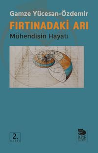 Fırtınadaki Arı & Mühendisin Hayatı