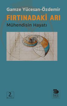 Fırtınadaki Arı & Mühendisin Hayatı