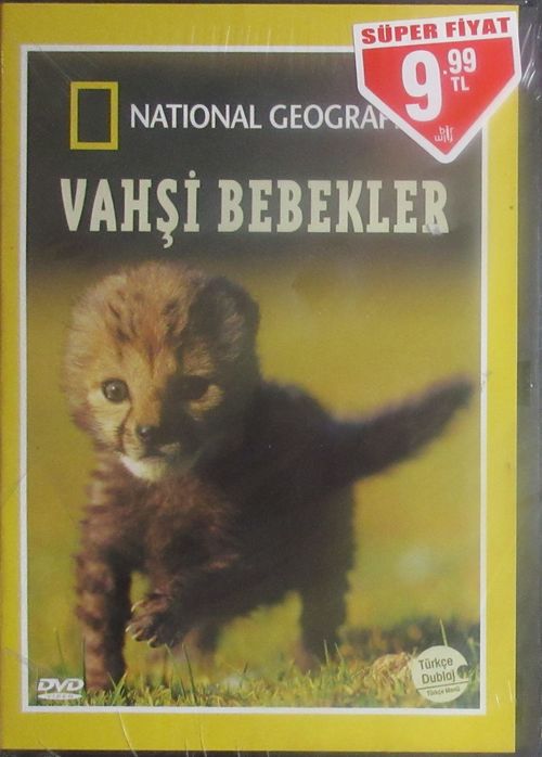 Vahşi Bebekler (DVD)