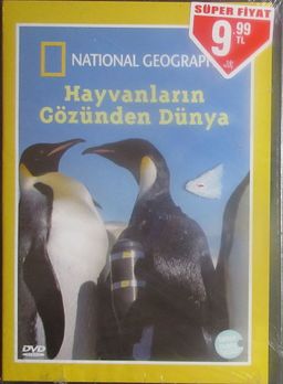 Hayvanların Gözünden Dünya (DVD)