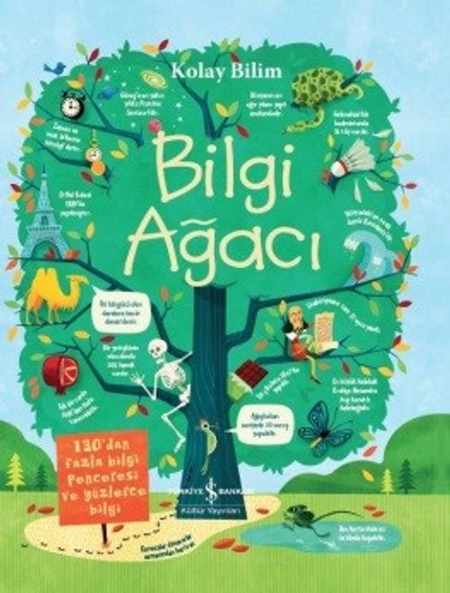 Kolay Bilim / Bilgi Ağacı 