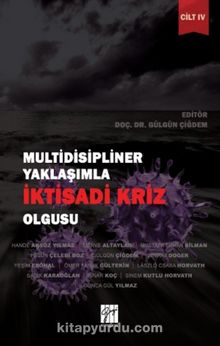 Multidisipliner Yaklaşımla İktisadi Kriz Olgusu Cilt 4 - Gülgün Çiğdem