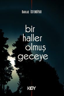 Bir Haller Olmuş Geceye