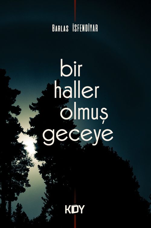 Bir Haller Olmuş Geceye