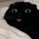 tinfy