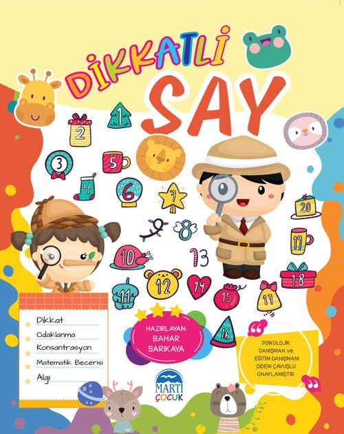 Dikkatli Say