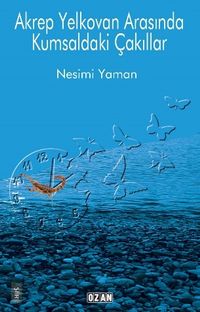 Akrep Yelkovan Arasında Kumsaldaki Çakıllar