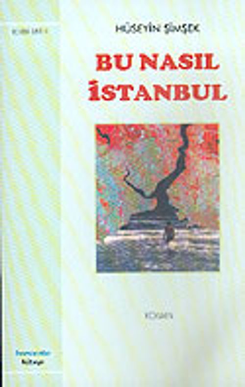 Bu Nasıl İstanbul