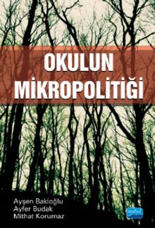 Okulun Mikropolitiği