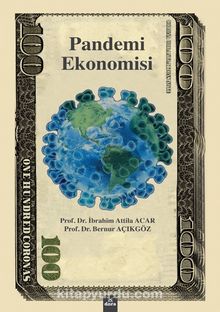 Pandemi Ekonomisi - Prof. Dr. Bernur Açıkgöz