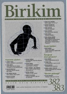 Birikim Aylık Sosyalist Kültür Dergisi Sayı:382-383 Şubat-Mart 2021