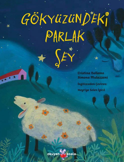 Gökyüzündeki Parlak Şey