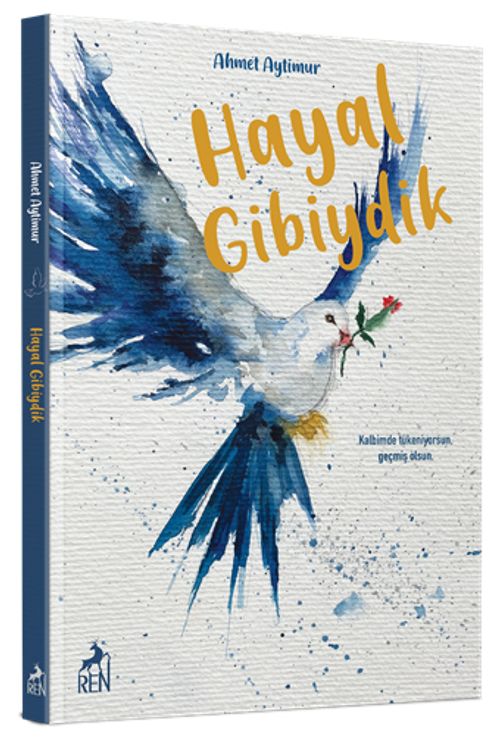 Hayal Gibiydik