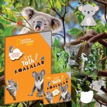 National Geographic Kids - Çok Tatlı Paket - Çok Tatlı Koalalar