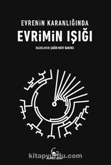 Evrenin Karanlığında Evrimin Işığı - Bilinmeyen Yazar