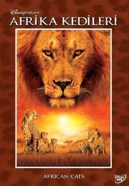 Afrika Kedileri (Dvd)