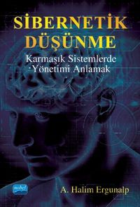 Sibernetik Düşünme & Karmaşık Sistemlerde Yönetimi Anlamak