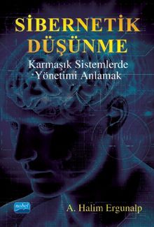 Sibernetik Düşünme & Karmaşık Sistemlerde Yönetimi Anlamak