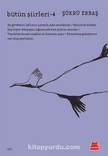 Bütün Şiirleri 4 / Şükrü Erbaş - Şükrü Erbaş