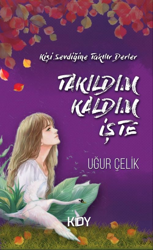 Takıldım, Kaldım İşte 