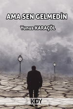 Ama Sen Gelmedin 