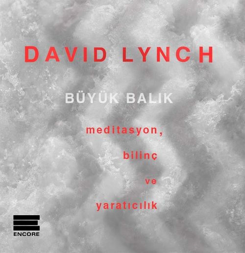 Büyük Balık & Meditasyon, Bilinç ve Yaratıcılık