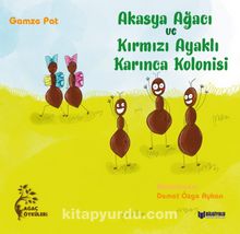Akasya Ağacı ve Kırmızı Ayaklı Karınca Kolonisi - Gamze Pat