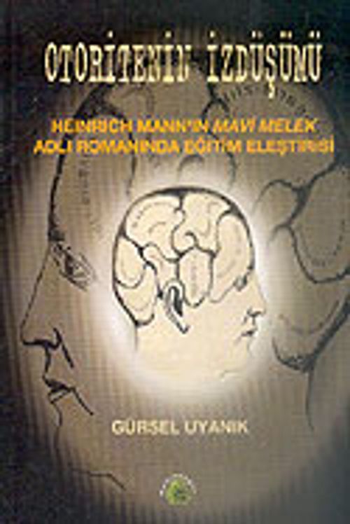 Otoritenin İzdüşümü