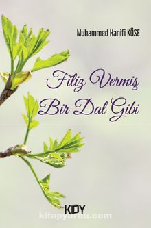 Filiz Vermiş Bir Dal Gibi - Muhammed Hanifi Köse