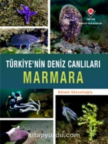 Marmara - Türkiye'nin Deniz Canlıları - Bülent Gözcelioğlu