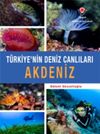 Akdeniz - T&uuml;rkiye'nin Deniz Canlıları