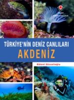 Akdeniz - Türkiye'nin Deniz Canlıları